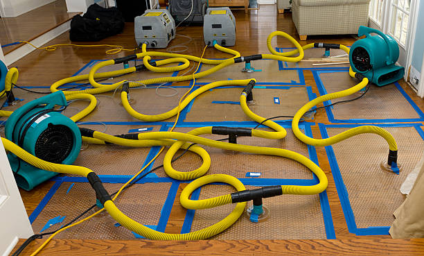 Professional Crawl Space Water Removal technician working in Capron, IL